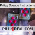 Priligy Dosage Instructions 15